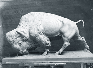 Bison model by Avard T. Fairbanks